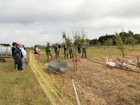 thehillac-visite 2017-06-27 (34)web